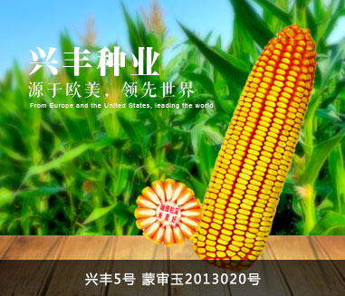 内蒙古兴丰种业