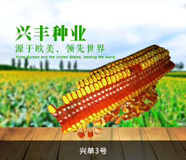 内蒙古兴丰种业