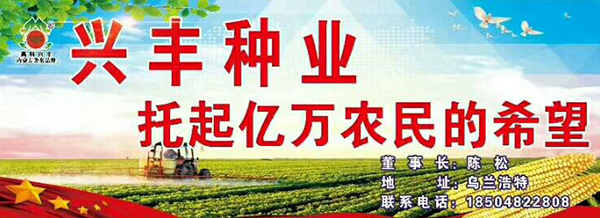 内蒙古兴丰种业